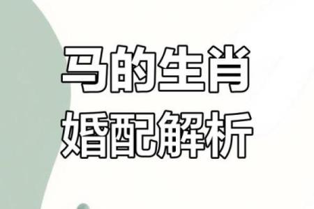 02属马的最佳婚配 属马的最佳配偶