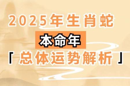 属蛇一生最忌三种车 属蛇的人最忌讳什么