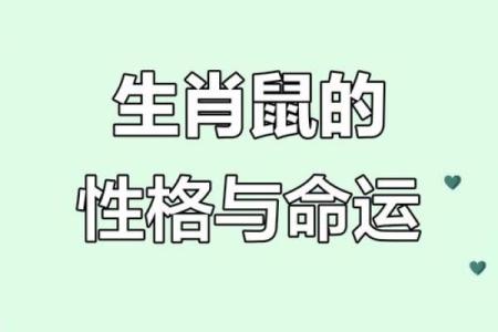 1984年出生的鼠年命运如何？五行属什么缺什么详解