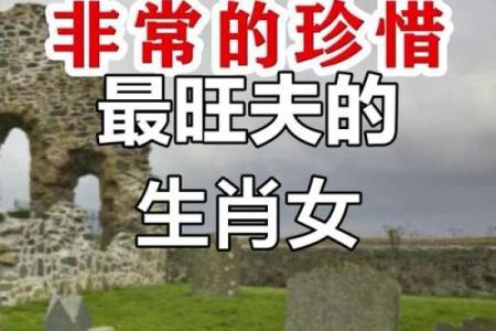 82女狗和87男兔子属相合不合 82男狗87女兔婚配好吗 结婚会旺夫吗
