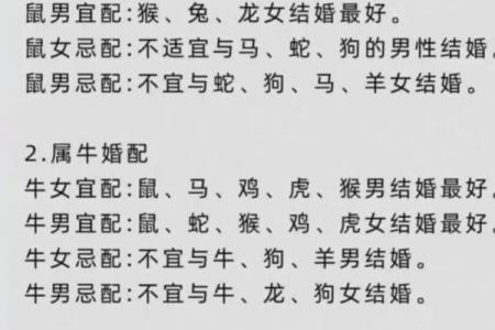 男马女龙属相合不合 男马女龙的生肖婚姻配吗