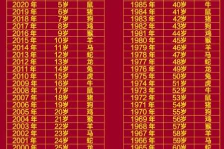 十二生肖六个合属相表 十二生肖6合对照表2021年