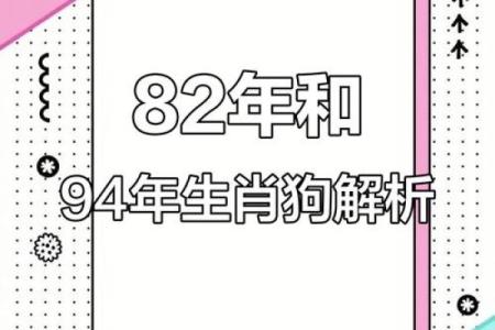 82年属啥的属相多大了 82年是属什么的,多大了