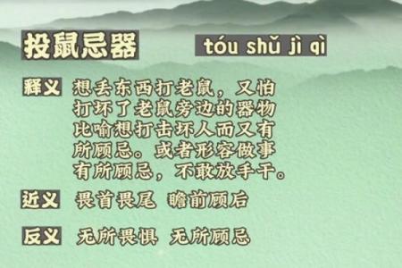 火眼金睛着个成语最适合形容哪个生肖的性格特点