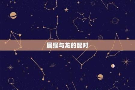 猴子跟龙的属相合不合 猴子和龙属相配婚姻如何