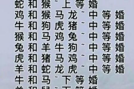 鸡狗属相合不合 鸡猴属相合不合