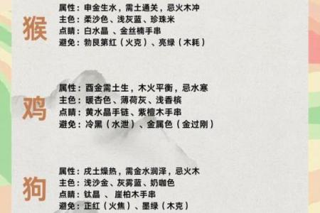 火眼金睛打一准确生肖