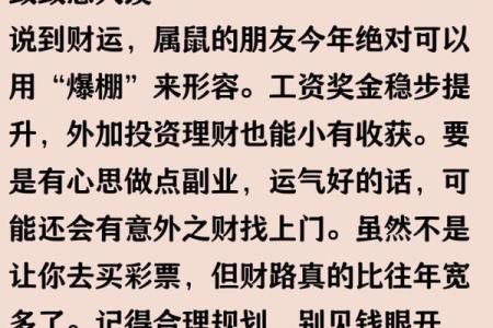 2025年属鼠人的每月运程如何，哪个月份最适合结婚或创业等重大决定？
