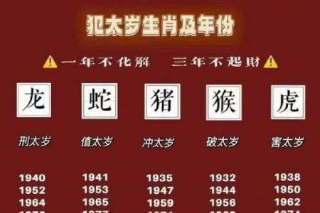 长长久久是什么生肖(长长久久是什么东西)