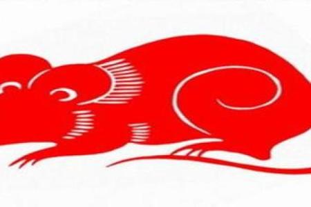 歪风邪气打一生肖的谜底到底是什么？我来告诉你答案