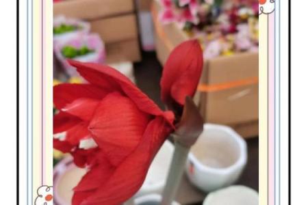 红色是吉利还是不吉利呢 红色是吉利还是不吉利呢