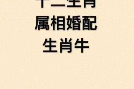 女牛男龙属相合不合 女牛男龙属相合不合财运