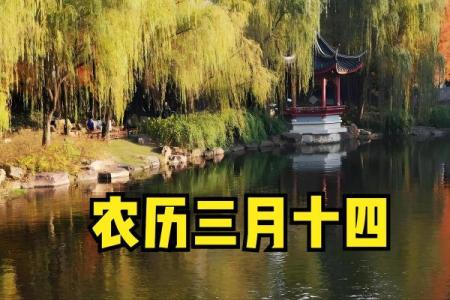 三月十四日是什么节日(三月十四日是什么日子)