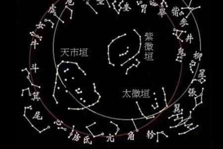 朱雀最忌三种属相 朱雀最忌三种属相的人