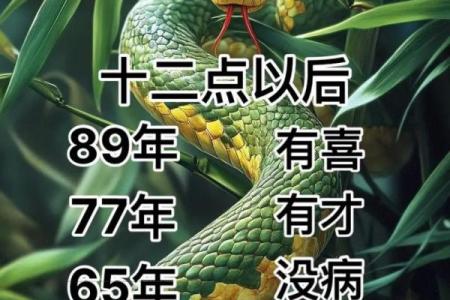 65年属什么生肖,是什么命 65年属什么生肖,是什么命运