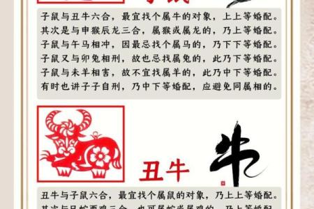 牛和鼠的属相合不合 牛和鼠的属相合不合婚姻