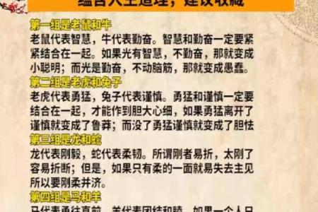 想了解众志成城所指的生肖动物及其背后的文化寓意解析