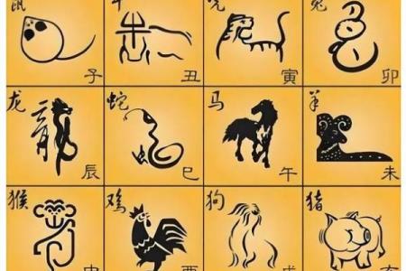 12生肖排行榜十二生肖排行 12生肖排行榜12生肖排行图 排名
