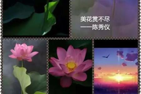 哪有闲空回娘家 哪有闲空回娘家乐曲曲式结构
