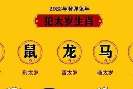 蔡邕救琴是什么生肖