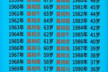 2025年属鼠的人虚岁和周岁分别怎么计算和区分？