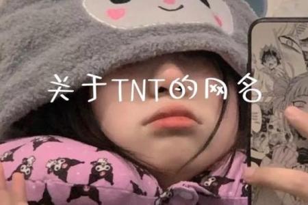 TNT爆米花专属网名