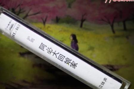 阿必大回娘家沪剧全集 阿必大回娘家沪剧全集在线观看