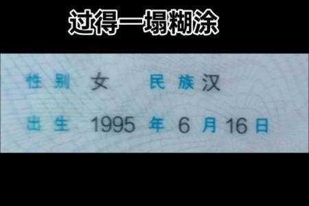 95属猪大忌颜色 95属猪大忌颜色是什么