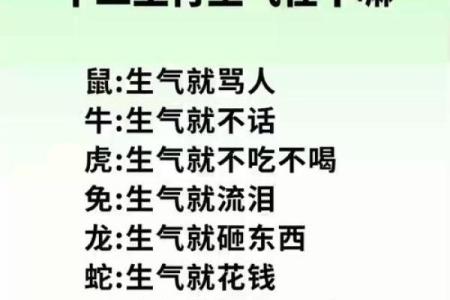 摇首顿足开过什么生肖(摇首顿足开过什么生肖)