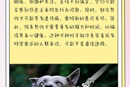 哪些动物具有忍辱负重的精神品质及其象征意义解析