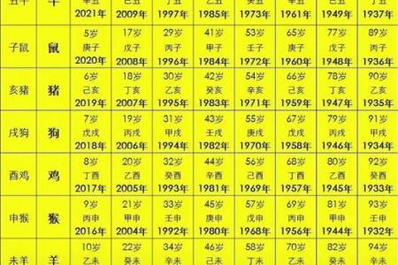 2004年出生属什么生肖今年多大了 2004年属什么的今年多大