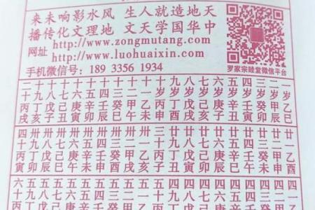 2025年生肖蛇全年运程 2025年生肖蛇每月运势完整版