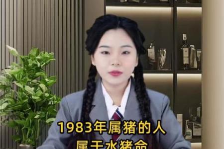 属猪不能上坟的原因 属猪的为什么不能碰水