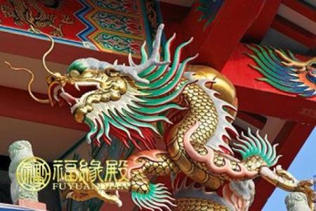绿林好汉打一生肖