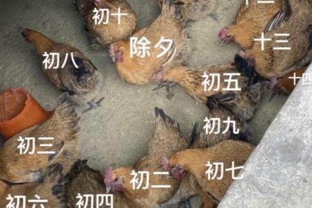 ‌小肚鸡肠是什么生肖 → 鸡‌（鸡争粒米，心胸狭窄）