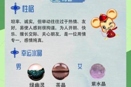 公认最受欢迎的生肖女 最受欢迎的生肖排名