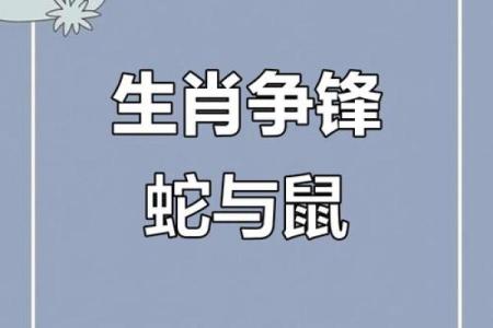 男鼠女蛇属相合不合 男鼠女蛇生肖配对合适吗