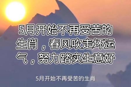 明年是什么年2020年属(明年是什么年属什么的2020年)