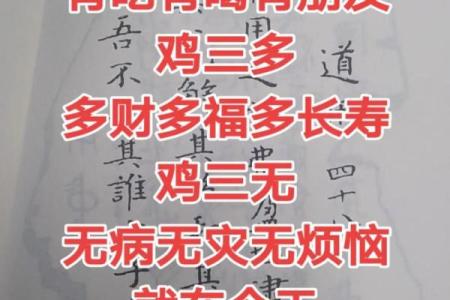 95属猪和93属鸡的合不合 95属猪和93属鸡的合不合财运