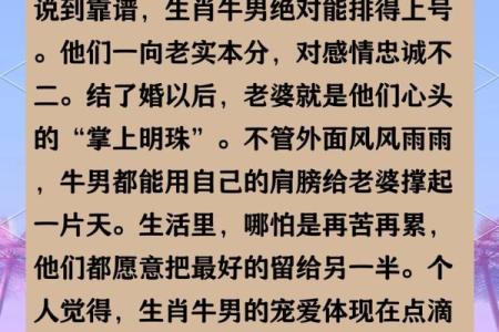 97男牛和99兔女属相合不合 97牛男和99兔女相配婚姻如何