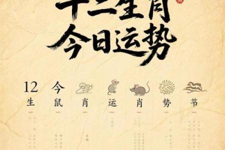 1996年出生的鼠2025年每月运势如何健康财运感情分析