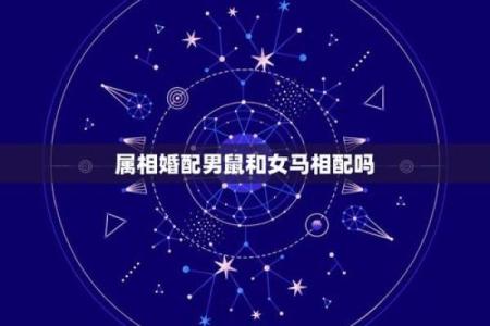 马跟鼠属相婚配如何 马和鼠属相婚配合不合