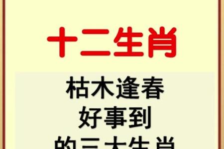 一意孤行指什么生肖