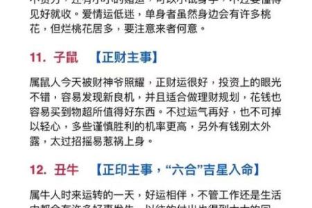 1996年丙子鼠2025年运势吉凶预测，事业财运健康如何
