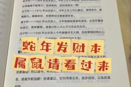 2025年属鼠人全年运势详解及每月运程完整版分析