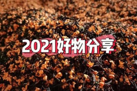 香风十里珠帘卷指的是哪个生肖？完整解析来了
