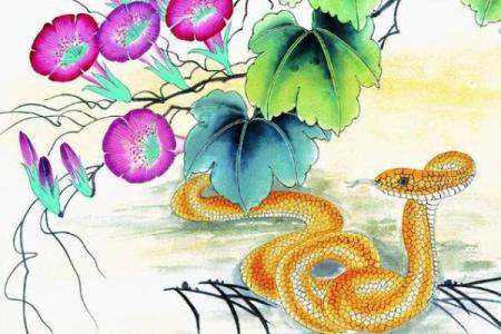 忠勇双全打一生肖的正确答案是什么？附详细生肖性格分析
