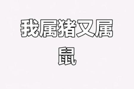 1996年1月出生的人属猪还是属鼠？生肖年份划分详解