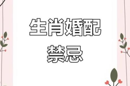属鼠和属羊的合不合财运 属鼠和属羊的人合不合