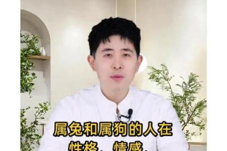 属兔女和属狗男的合不合 属兔女和属狗男的婚姻相配吗